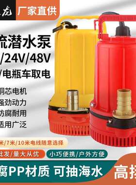 直流泵12v24v48v60v电瓶抽水泵增压泵浇地浇花浇菜耐腐蚀PP材质