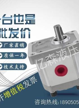 邦迪奥利BONDIOLI齿轮泵HPLPA114/119/124/131/136/144SDDE3E3BST