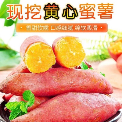 新鲜红薯3斤红薯农家沙地黄心地瓜农家自种番薯现挖黄心香薯山芋