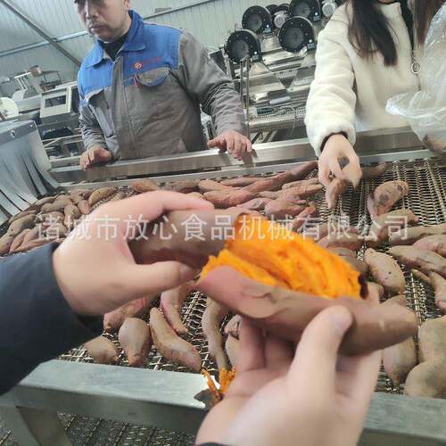 红洗烤流水线 大型全自动烘FQH烤蜜薯烘烘烤清流薯水线 红薯烘烤