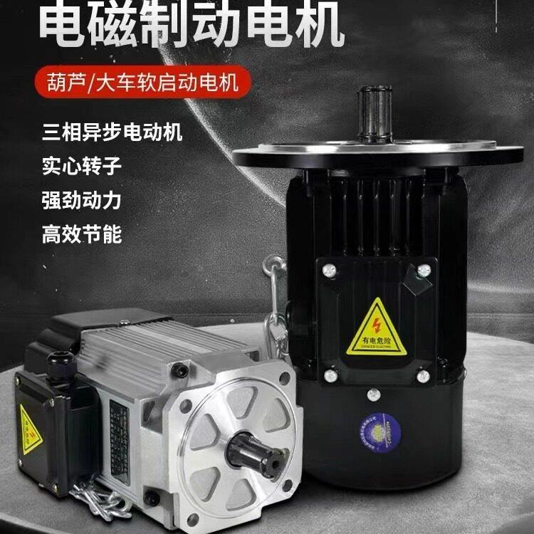 南京力鑫特YDE80L-40.8W电磁制动三相异步电机