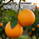 包邮 正宗麻阳冰糖橙9湖南橙子应当季 水果新鲜现摘果冻橙冰糖橙