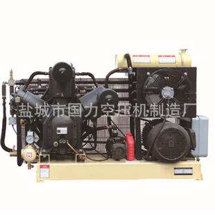 供应FW200TE吹瓶式 空压机大丰空气压缩机生产厂家 皮带式