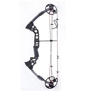 军兴梦想M120复合弓黑色裸弓复合弓箭射箭