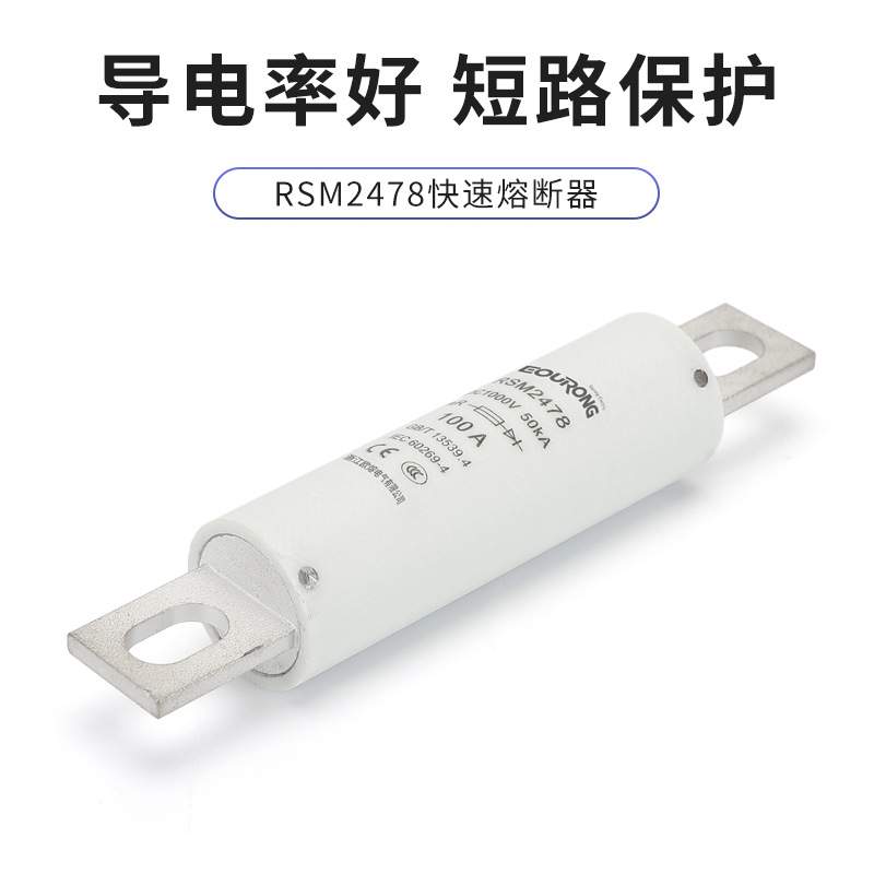 DC1000V充电桩熔断器RSM2478汽车熔断器RS309 FWH100A HEV100A