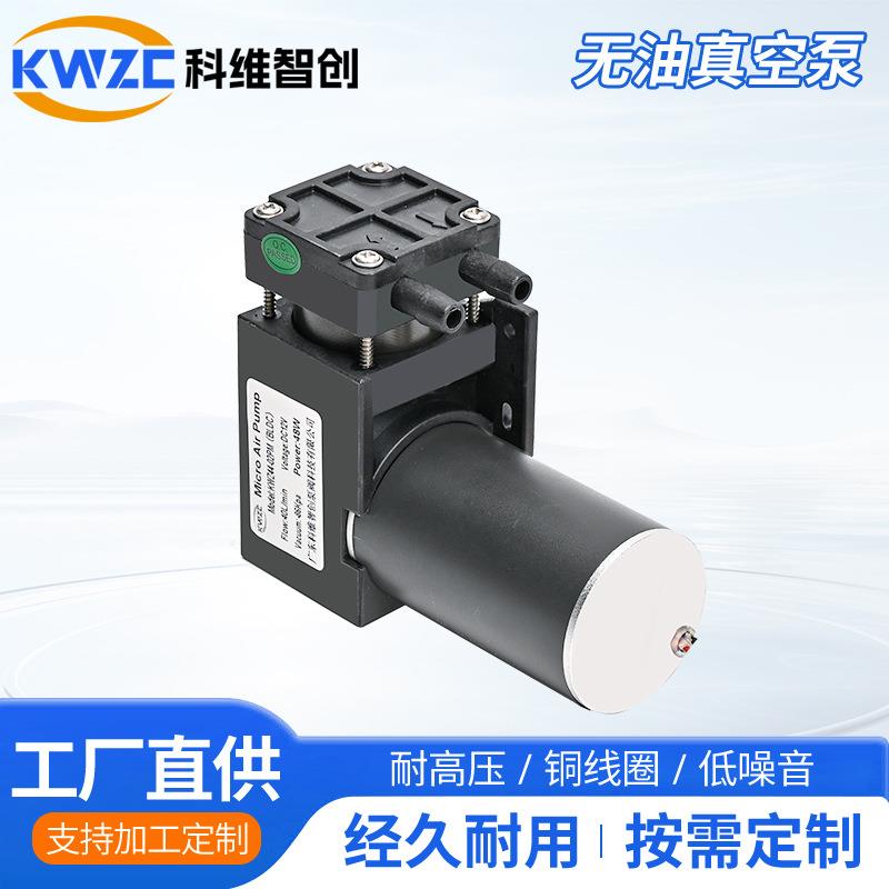 44-02PM电动隔膜静音气泵微型无刷有刷555正负压膜片气泵