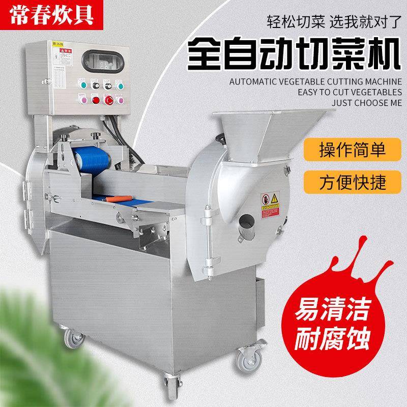 801型多功能双头切菜机蔬菜切丝切片切丁切段机商用切菜机