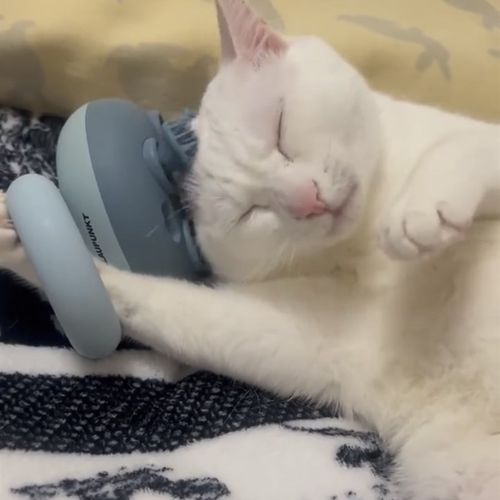 猫咪头部按摩器头皮按摩爪灵魂提取器仪抓头挠头神器电动洗头