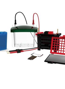 HT-ZY04型迷你转移电泳槽同时转印四块83*73凝胶 转移面积110×90