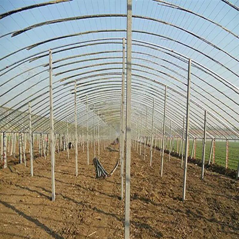 薄膜连栋温室大棚 蔬菜暖棚 日光温室温室大棚工程报价农作物大棚