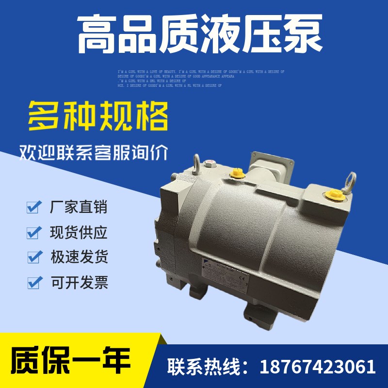 RP08A1-07-30-T油泵RP15A1-15-30转子泵RP15A1-22-30-T