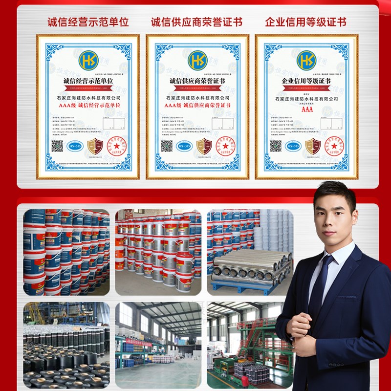 水固化丙烯酸盐高压注浆机卫生间防水补漏灌浆机双组份堵漏AB双液