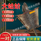 特大蛤蚧干货一对玉林药材大壁虎野生人参炖汤泡酒官方旗舰店正品