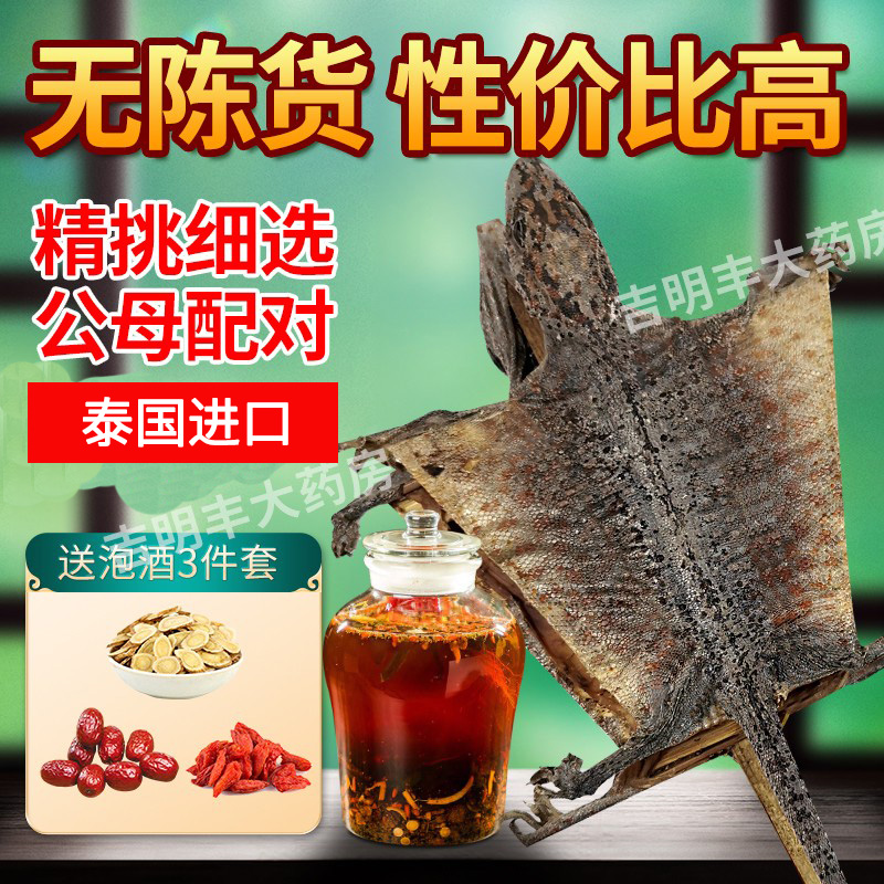 特大蛤蚧一对人参补血益气