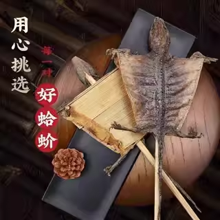 特大蛤蚧一对进口玉林药材人参补血益气蛤介粉干货官方旗舰店正品,传统滋补营养品,滋补经典方/精制中药材,淘宝优惠券,粉丝福利购,淘宝优惠卷