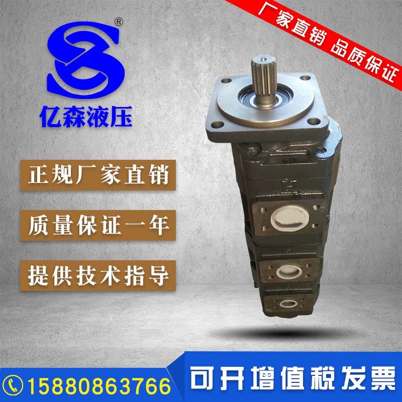 子牧清粪车专用双联泵齿轮油泵铁泵液压马达子牧机械,五金/工具,压力泵,淘宝优惠券,粉丝福利购,淘宝优惠卷