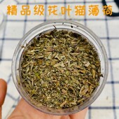 猫薄荷纯叶子花吐毛球舒缓安抚猫薄荷粉化毛幼猫逗猫玩具猫砂伴侣