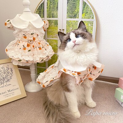 猫咪狗狗碎花连衣裙宠物春夏衣服可牵引茶话会粉桃花泰迪比熊布偶