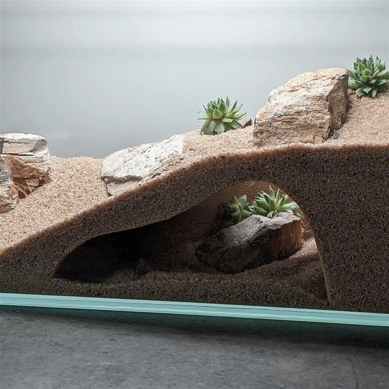 爬宠躲避鱼缸造景观赏洞鱼虾躲避屋创意地下洞穴造饲养缸景装饰,宠物/宠物食品及用品,爬宠躲避/造景,淘宝优惠券,粉丝福利购,淘宝优惠卷