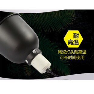 迷你刺猬爬虫灯罩5.5寸变色龙深桶陶瓷蜥蜴陆龟宠物加热爬箱网箱