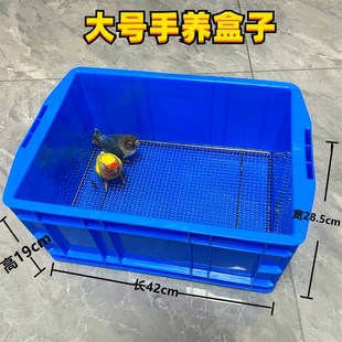 鹦鹉饲养盒保温盒垫网片手养鸟雏鸟幼鸟饲养盒鹦鹉盒网片
