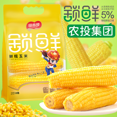 【农投】8支手提袋东北黄糯玉米