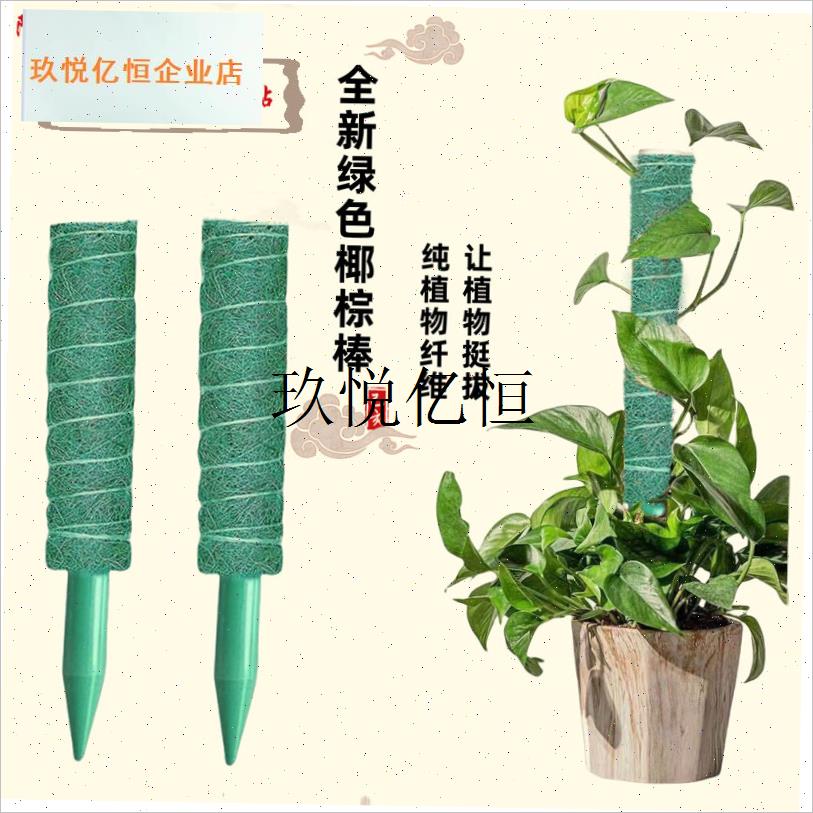 新款绿PVC爬藤架龟背竹支撑杆植物支J撑架棕榈柱绿萝花架爬上神,