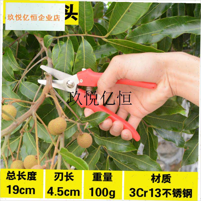 园艺剪刀 盆景多肉花p草强力整枝修理植物家用不锈钢 果园工具锋,