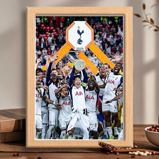 英超托特奈姆热刺欧联杯夺冠孙兴慜终如愿周边粉丝纪念相框摆台