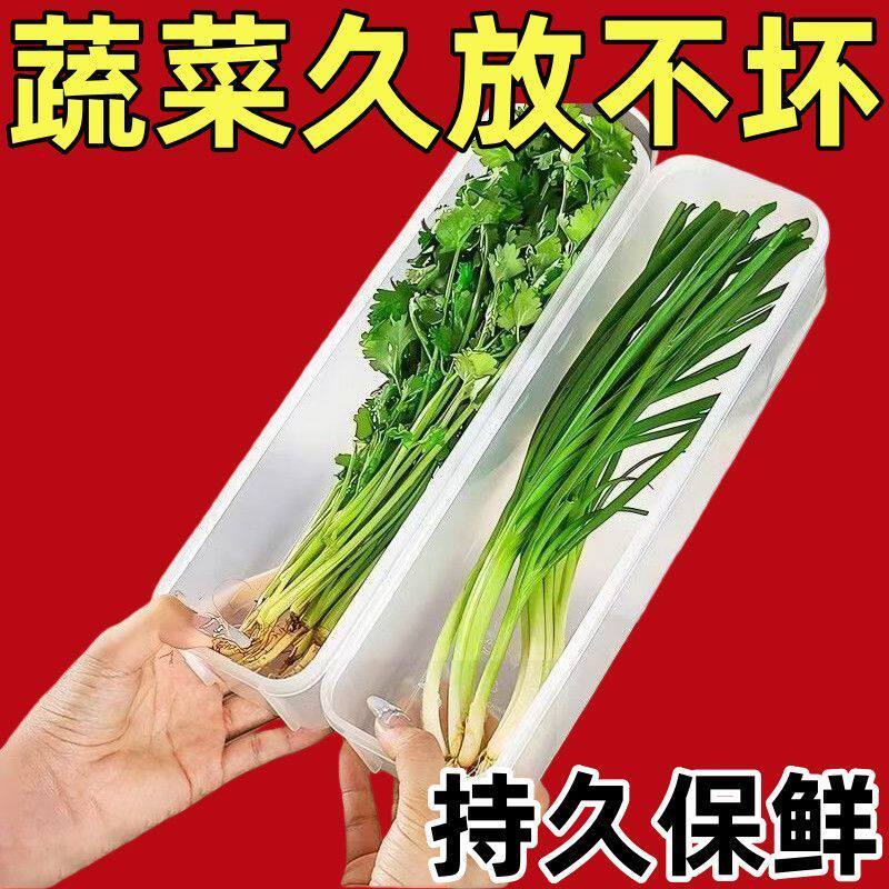 【3个】香菜小葱收纳盒冰箱芫荽整根保鲜加厚款面条鸡蛋备菜保鲜