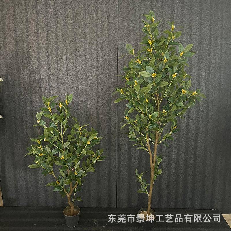 仿真桂花树室内造景塑料盆栽装饰办公室落地摆件庭院景观拍摄道具