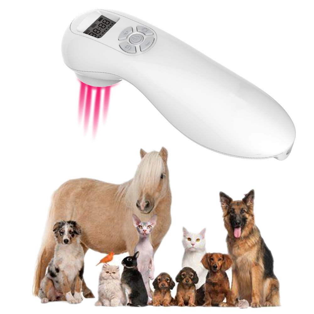 808nm手持照射仪Laser treatment equipment 红光照射仪 近红外仪