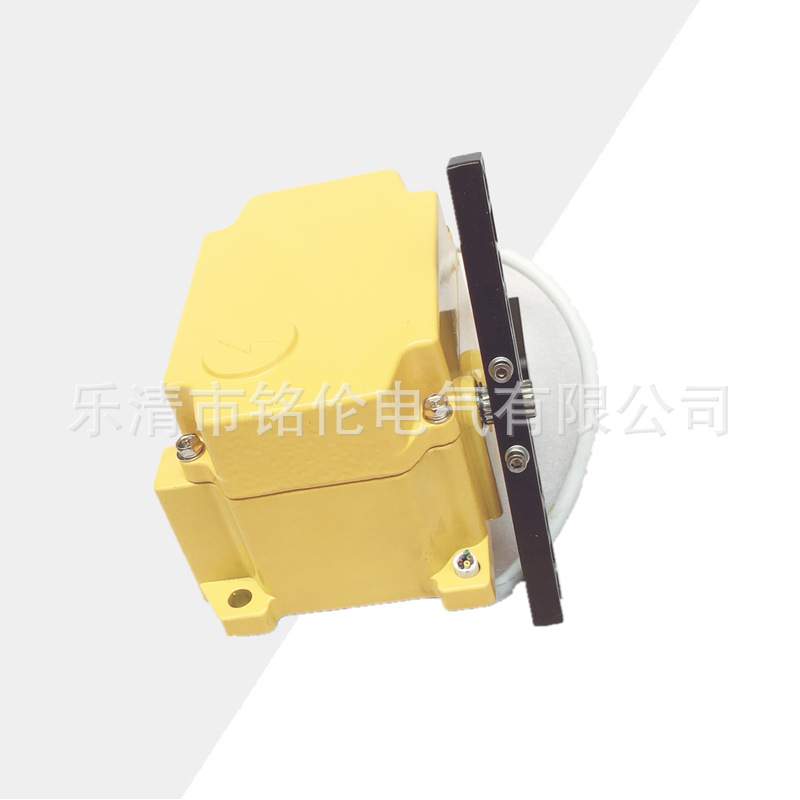 YHFLS-II SPS-2D 双向拉绳装置 拉绳开关 ZGLS-LM-S XYLMQ