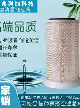 空气滤清器AF1799 C19377 LX141 S-7974-A 5000243970 68033797