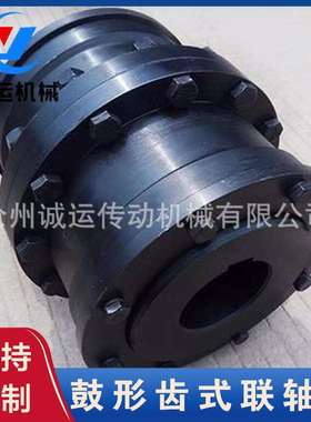 诚运传动鼓形齿式联轴器GIICLZ带制动轮式安装齿轮轴承