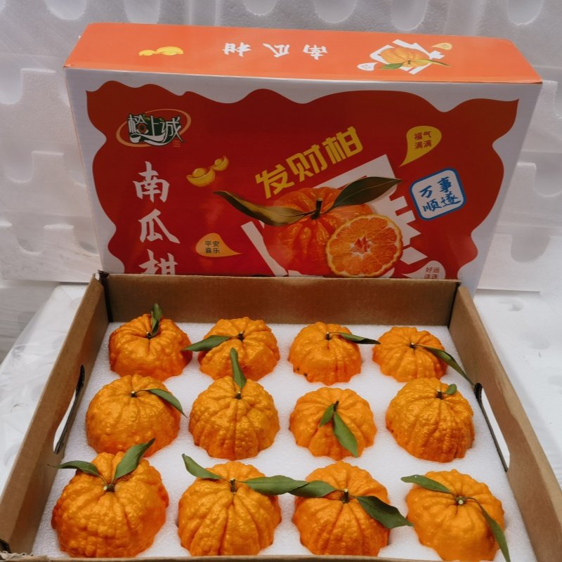 橙上诚四川眉山正宗南瓜柑橘新鲜孕妇水果当季发财柑顺丰礼盒,水产肉类/新鲜蔬果/熟食,桔子,淘宝优惠券,粉丝福利购,淘宝优惠卷