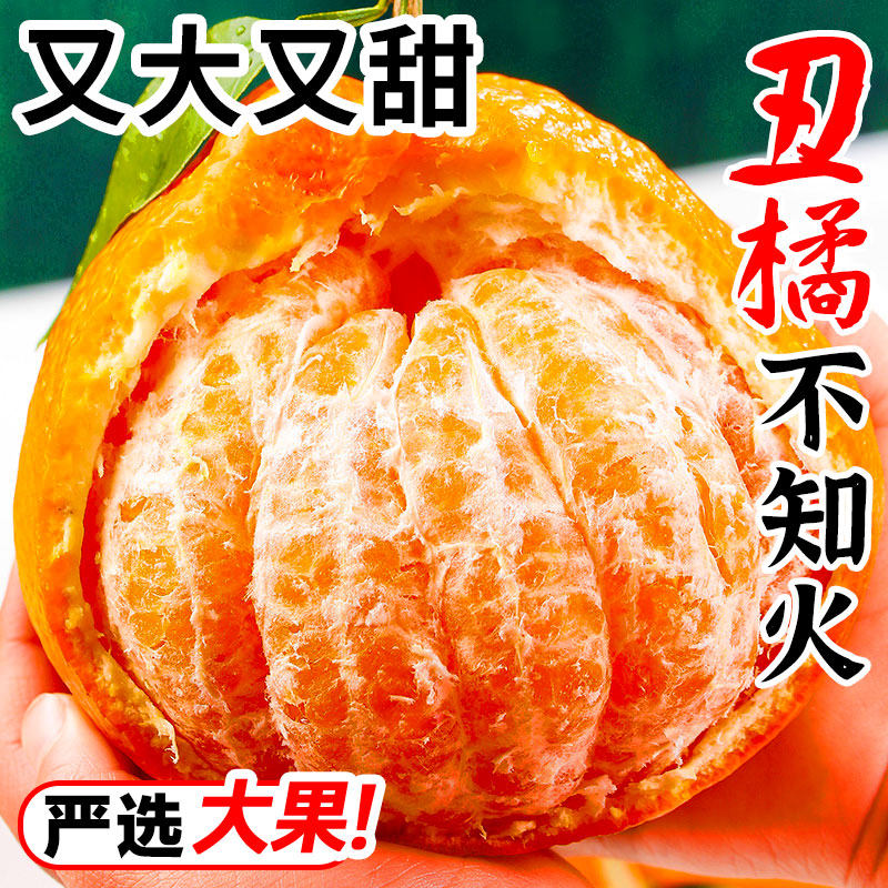 四川丹棱丑橘不知火新鲜水果当季整箱包邮丑八怪甜蜜桔子