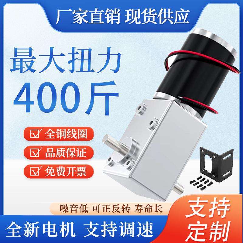 5882-45zy双轴蜗轮蜗杆直流自锁减速电机大扭矩12V 24V正反转马达