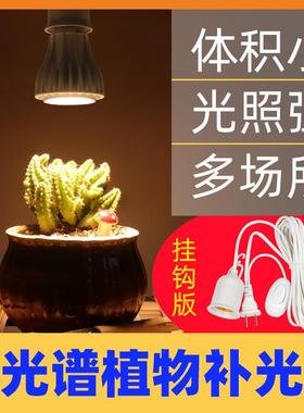 国产LED植物生长灯泡E27灯头 全光谱促进生长PAR38植物生长灯16w