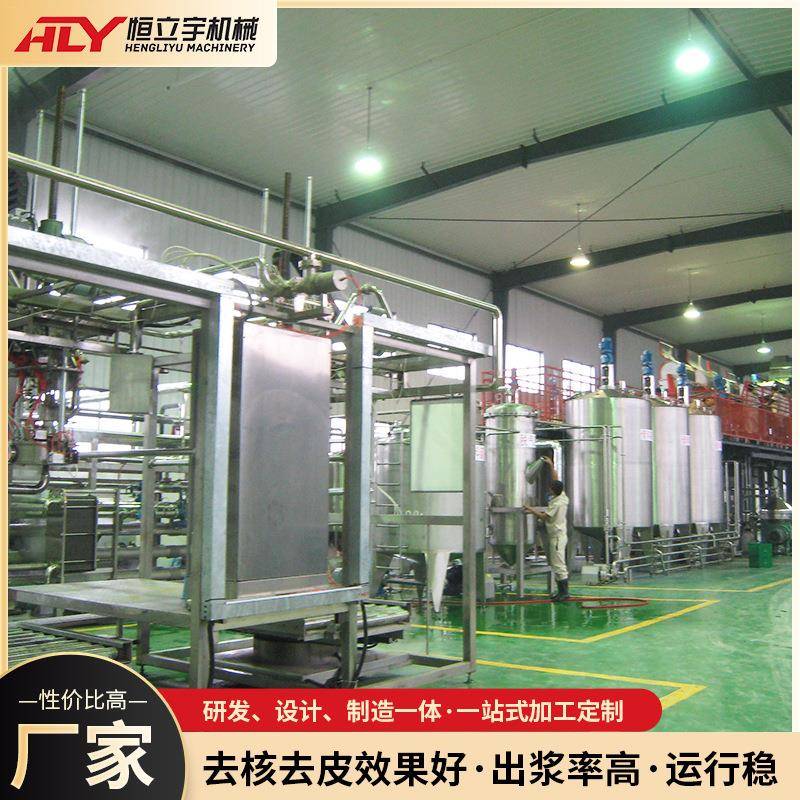 自动化控制桃汁加工机械桃杏李子饮料汁设备果蔬粉碎机榨汁生产流