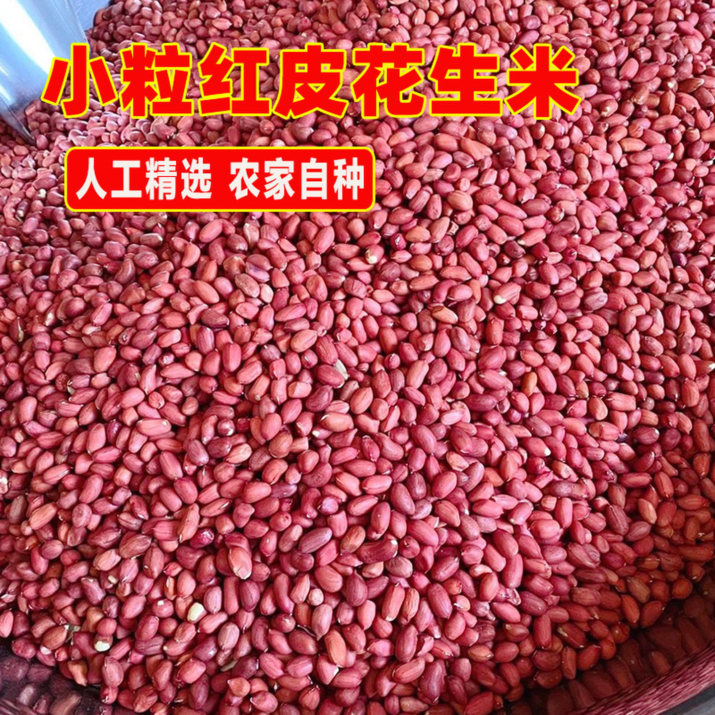 云南小粒红皮花生米四粒花生米红花生仁无壳红衣花生米商用散装
