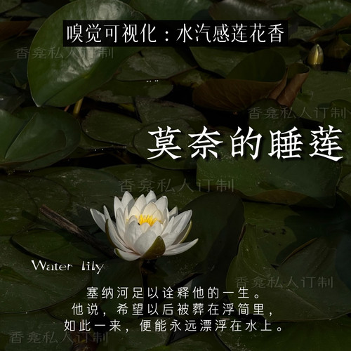 【莫奈的睡莲】嗅觉印象派 清冷水汽莲花 小众日常原创香氛喷雾女