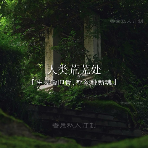 【人类荒芜处】生灵嚼旧骨 柏木+苔藓 木质中性小众原创香氛喷雾