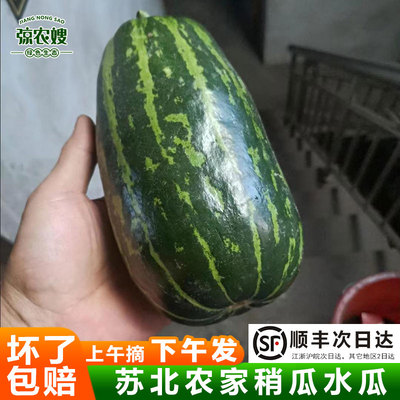 顺丰包邮苏北农家花皮菜瓜新鲜