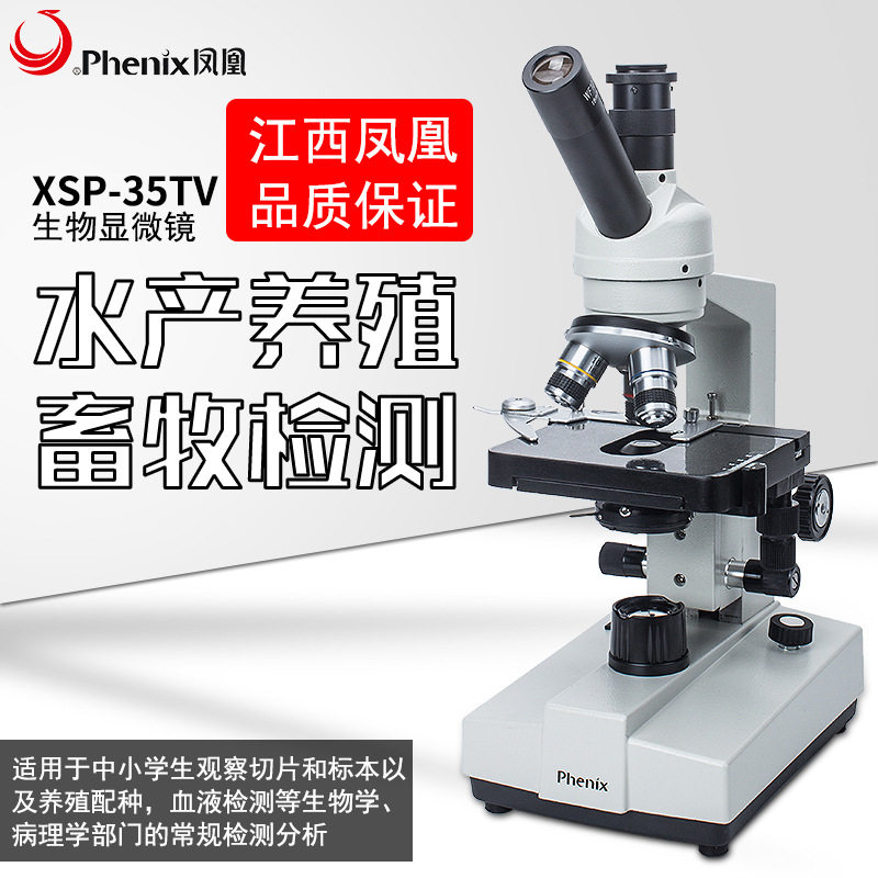 凤凰显微镜初中学校教学实验生物显微镜XSP-35TV-1600倍学习科普