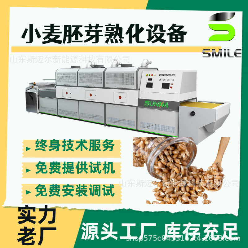 小麦胚芽微波熟化设备 五谷杂粮微波烘干机小麦微波烘焙设备