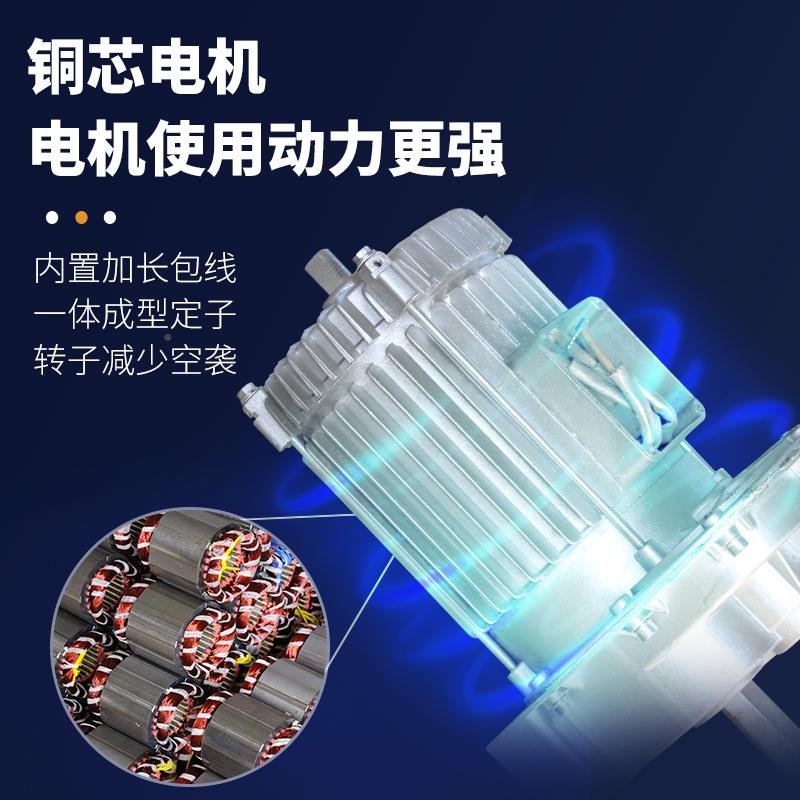 运行微型电动葫芦带机车连体22式跑0v家用小吊小型UEB电葫芦提升