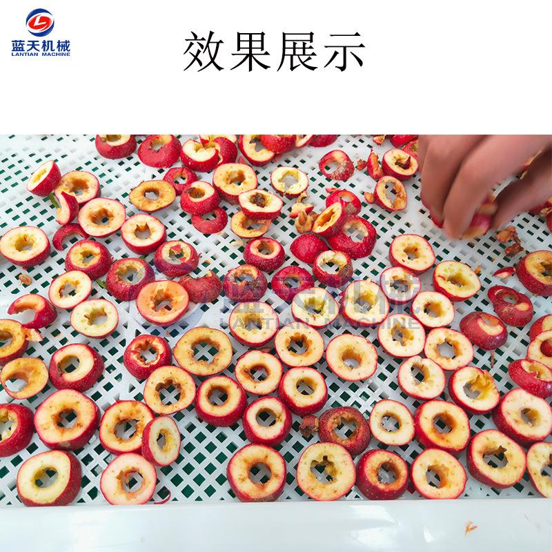 山楂去核核山机 全自动山里红楂去FEA胡机 电动两用山楂片去切机