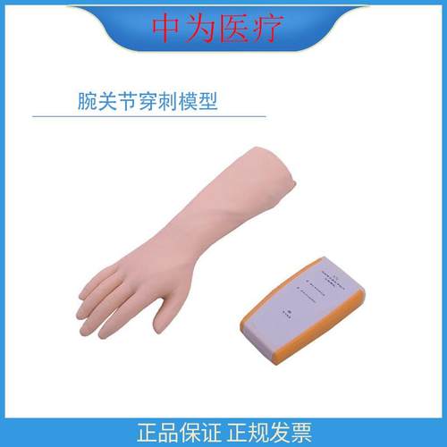 中为医疗 L73临床穿刺技能教学培训模型 腕关节穿刺模型