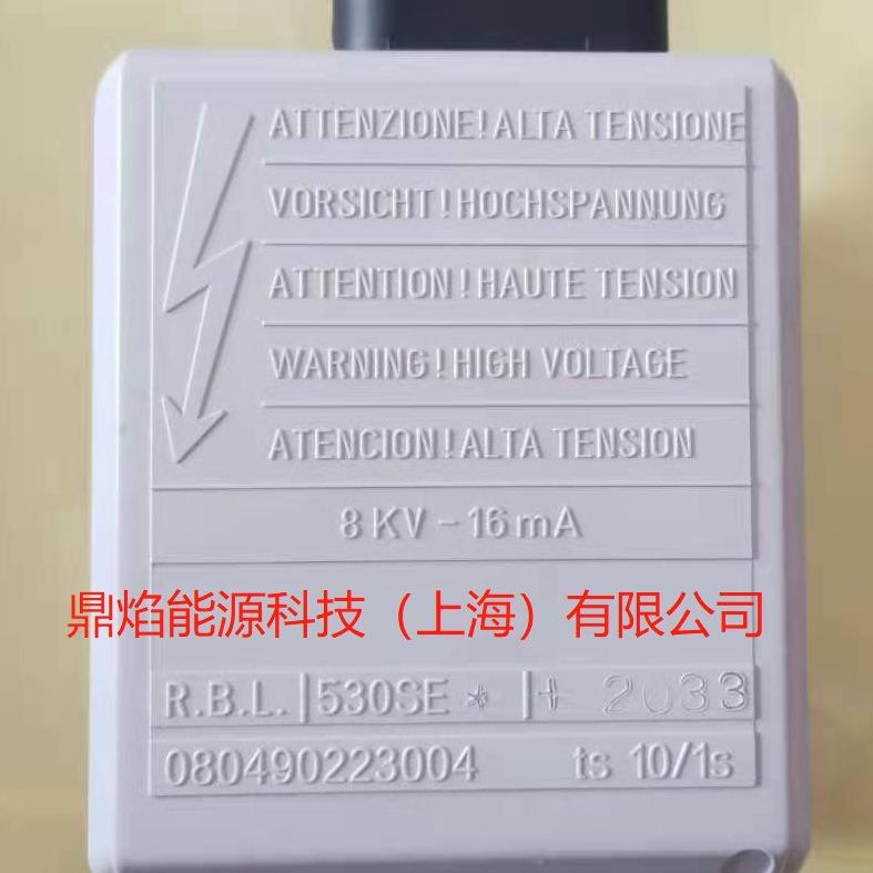 RIELLO意大利利雅路G20/G10原zhuang配件 RBL530SE控制器
